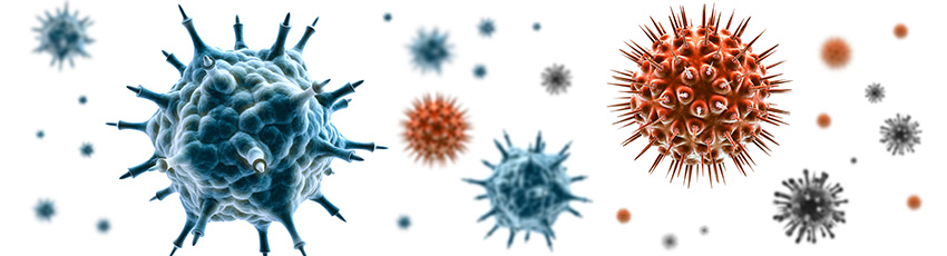 Infeccións de Transmisión Sexual