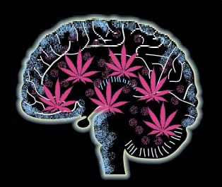 Radiografía dun cerebro con marihuana