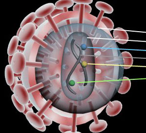 Virus de Inmunodeficiencia Humana