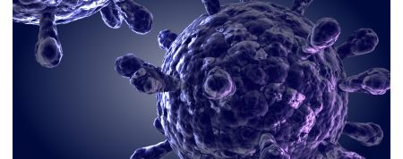 Virus da Inmunodeficiencia Humana